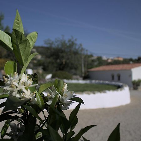 Cosy Farmhouse Quinta Da Eira 140 Years Old ローレ エクステリア 写真