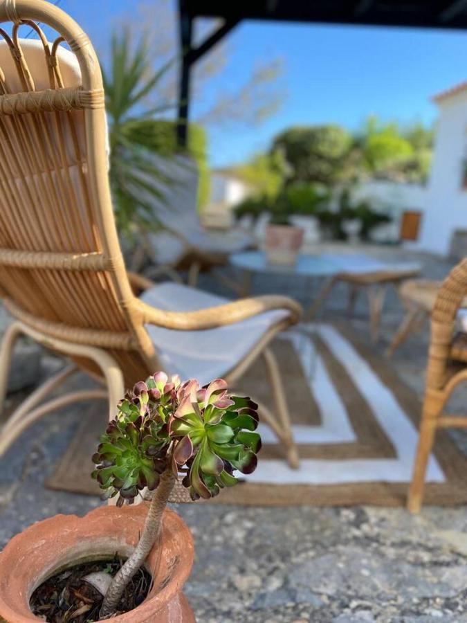 Cosy Farmhouse Quinta Da Eira 140 Years Old ローレ エクステリア 写真